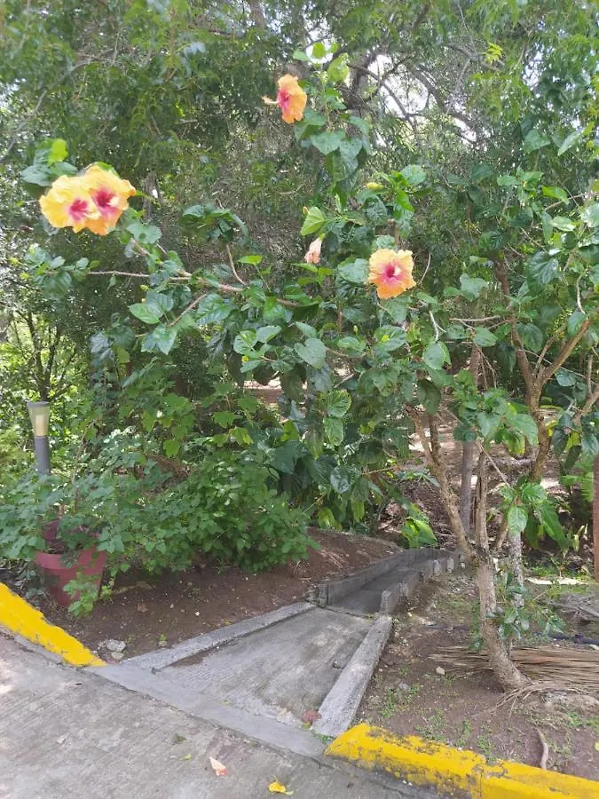 Studio Hibiscus Sainte-Anne 0*,